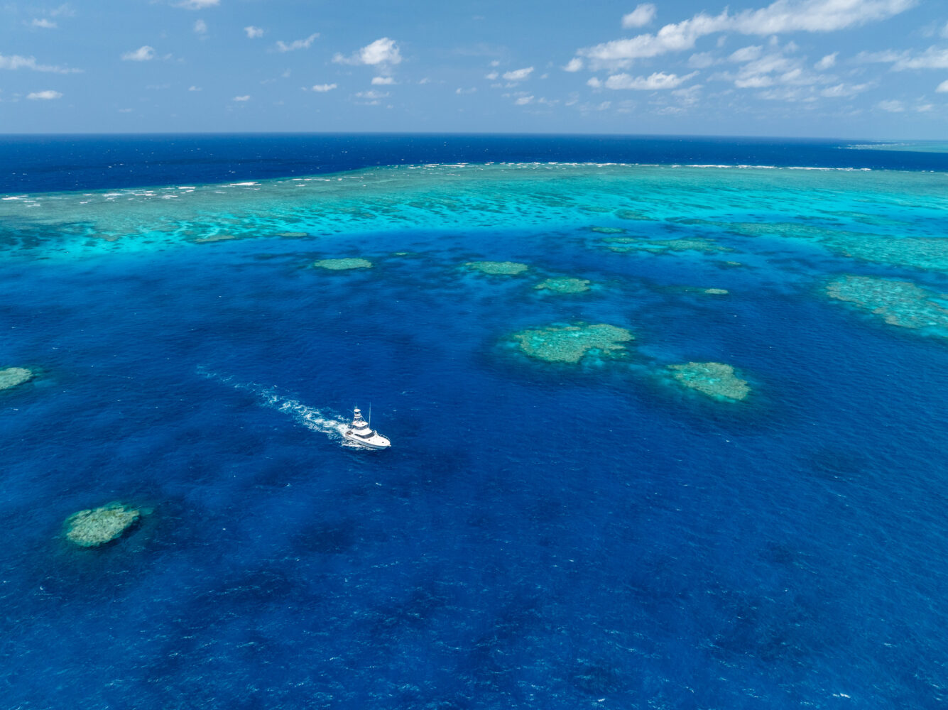 shore thing fishing charter drone and fishing images (13)