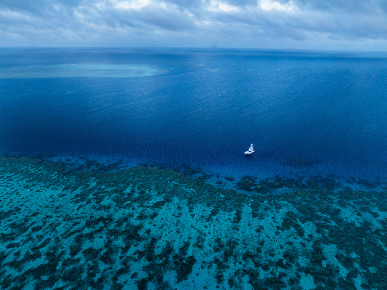 shore thing fishing charter drone and fishing images (5)